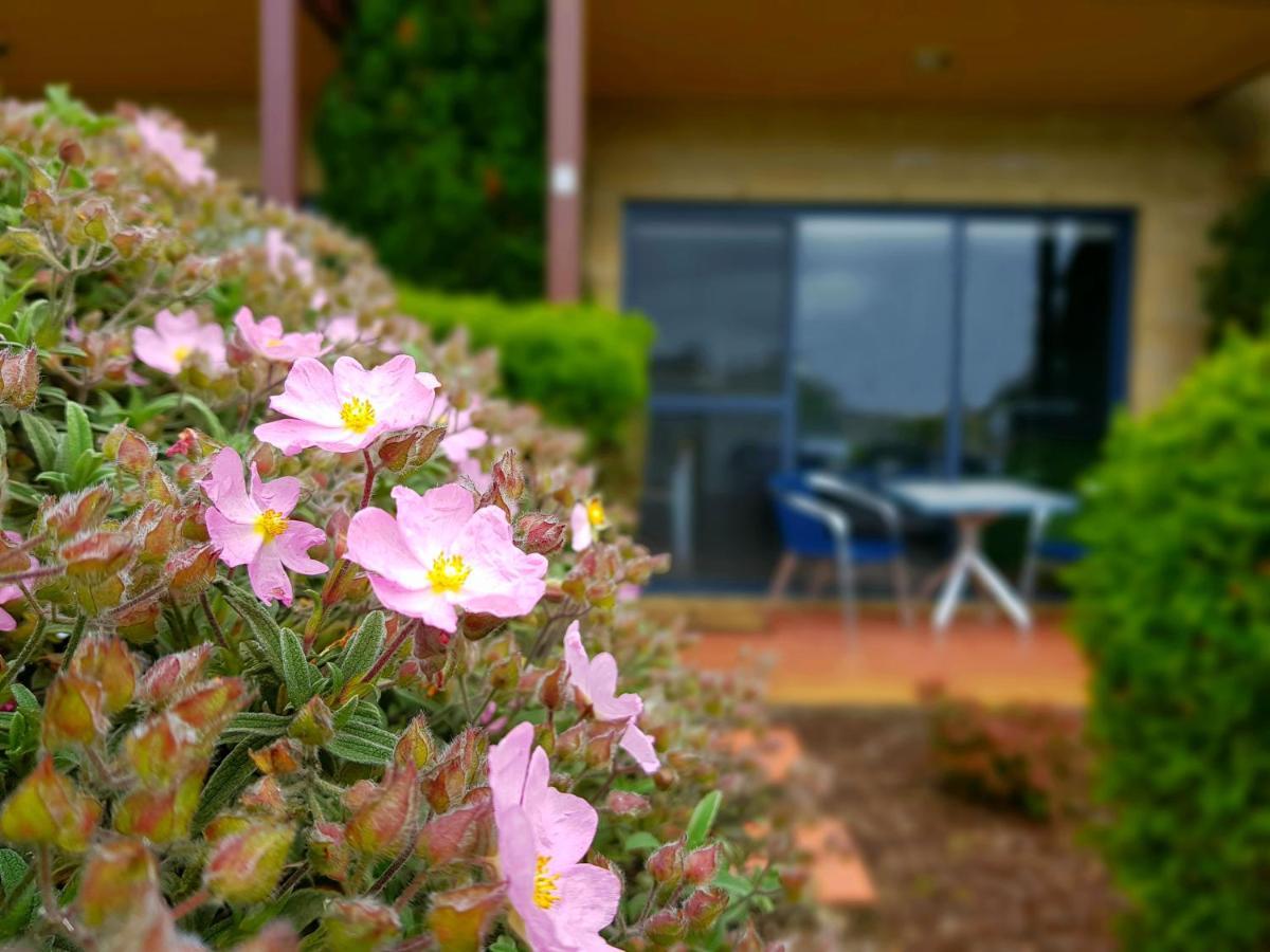Seaview Motel & Apartments Apollo Bay Exterior photo